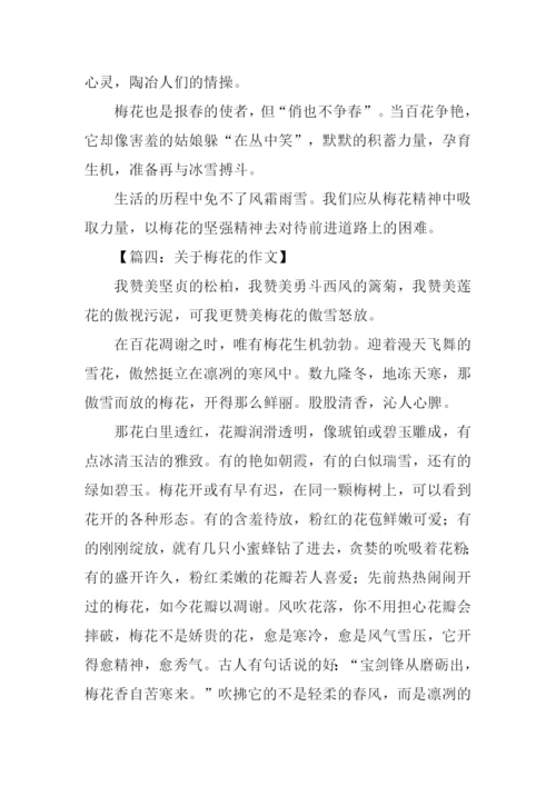 梅花的作文-10.docx