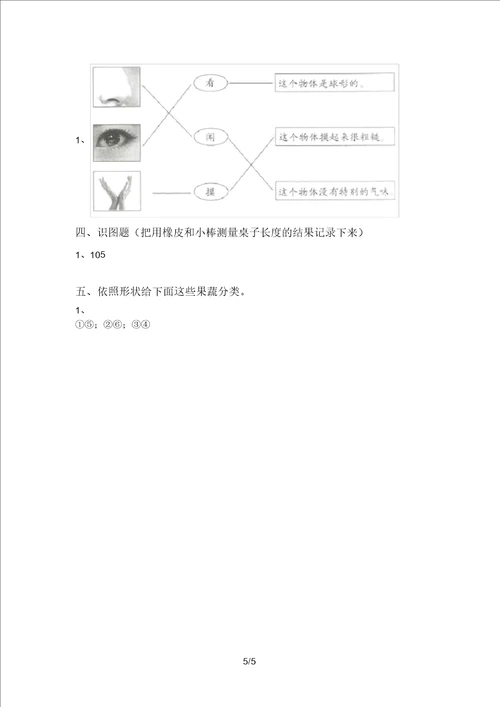 苏教版一年级科学上册期中考试题一套