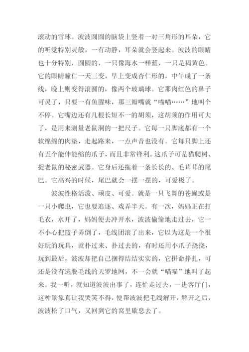 波丝猫作文0.docx