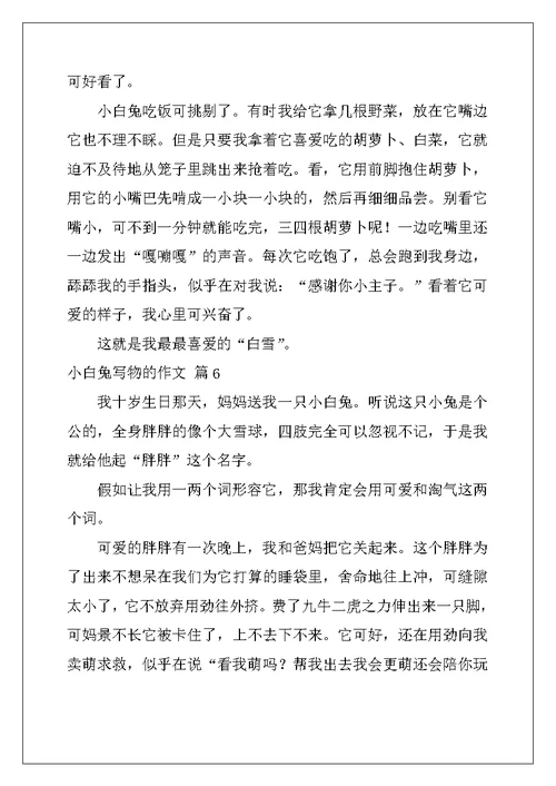 2022年小白兔写物的作文合集6篇
