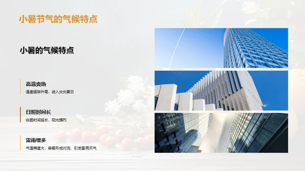 小暑养生与健康