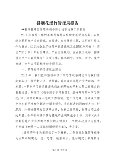 县烟花爆竹管理局报告.docx