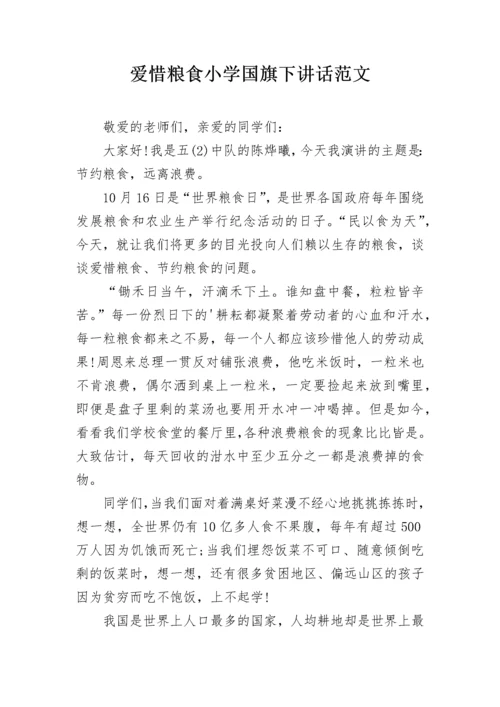 爱惜粮食小学国旗下讲话范文.docx