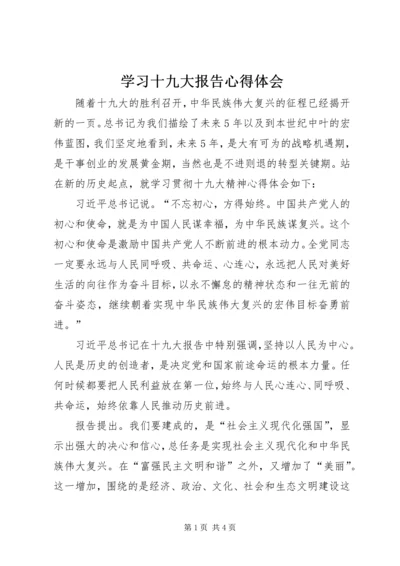 学习十九大报告心得体会 (6).docx