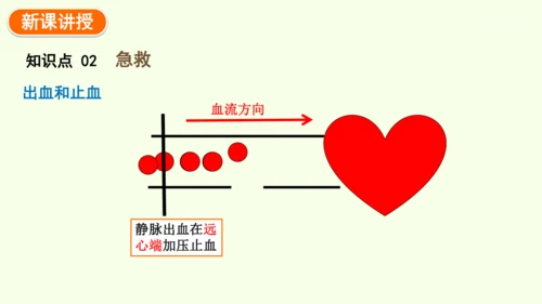 8.2用药与急救-八年级生物人教版下学期同步精品课件(共38张PPT)