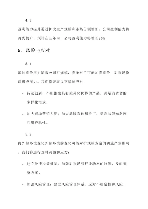 公司扩规模的方案