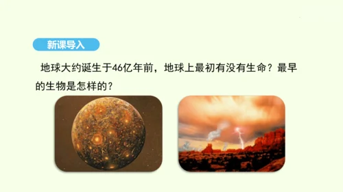 7.3.1地球上生命的起源课件-人教版生物八年级下册(共22张PPT)