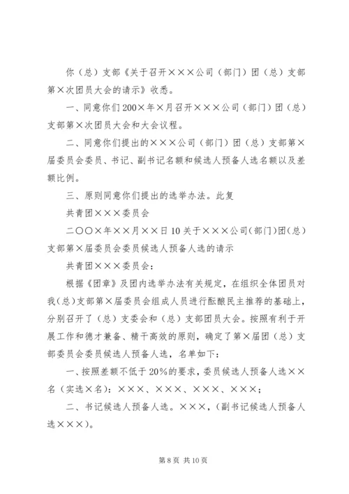 共青团支部委员会成立大会的请示.docx