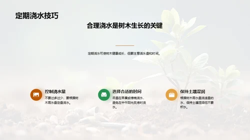 校园绿化：植树行动