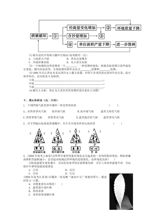 高中地理必修一复习导学案32  整体性和差异性