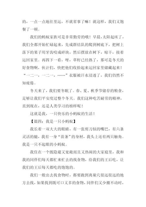 一只小蚂蚁作文.docx