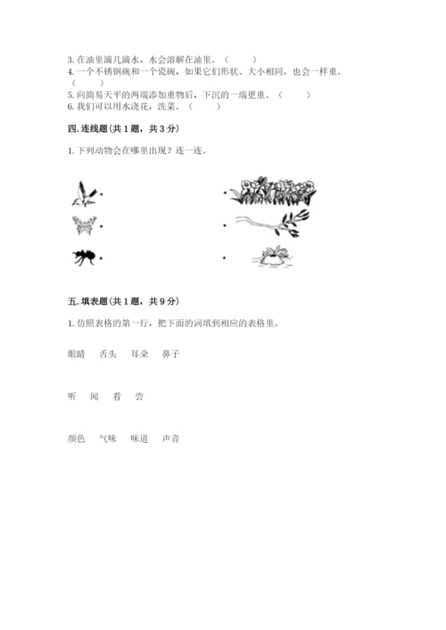 教科版小学科学一年级下册期末测试卷含答案ab卷.docx