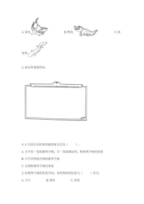 教科版一年级下册科学期末测试卷精品【预热题】.docx