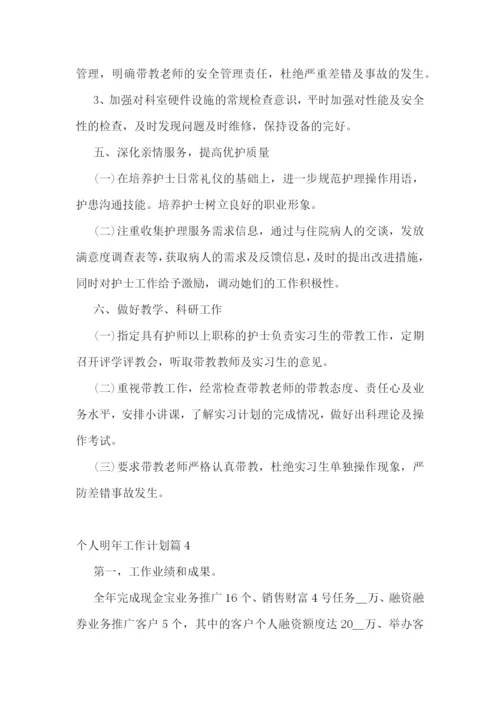 个人明年工作计划.docx