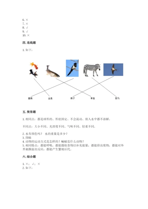 教科版一年级下册科学期末测试卷精品（全优）.docx