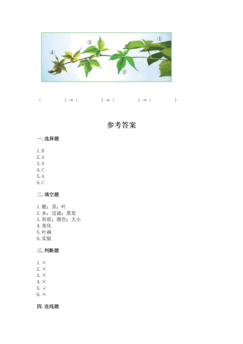 教科版科学一年级上册第一单元《植物》测试卷含答案【完整版】.docx