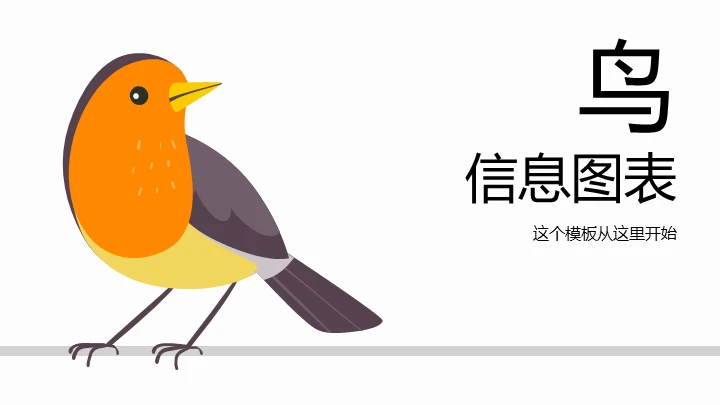 鸟类图鉴信息数据分享通用PPT图表