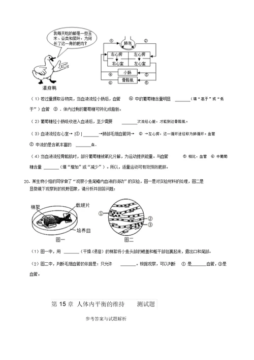 苏科版八年级上册生物第15章人体内平衡的维持测试题(解析版)