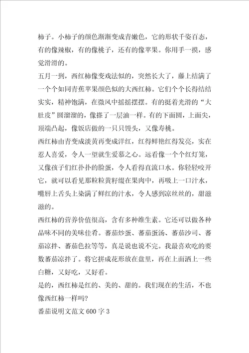 番茄说明文范文600字5篇