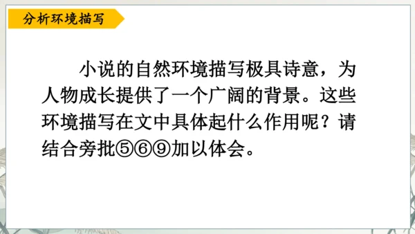 第17课《孤独之旅》课件