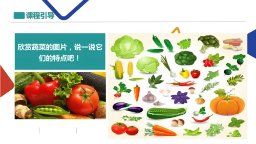 各式各样的蔬菜