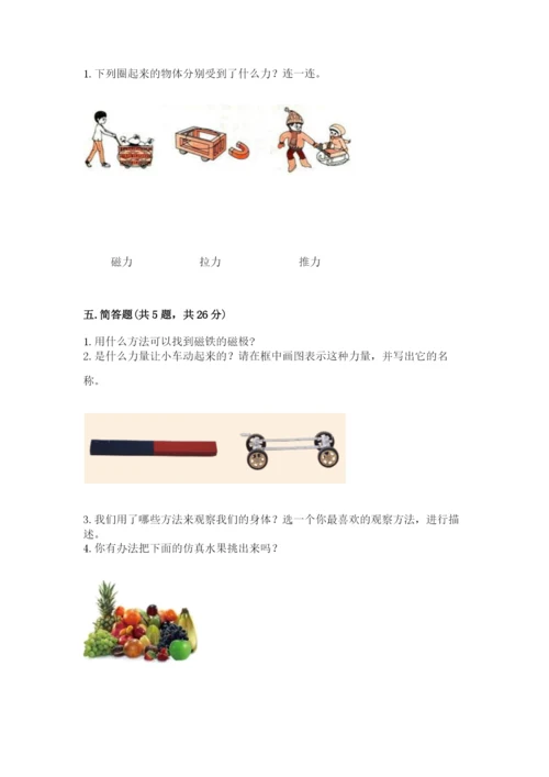 教科版二年级下册科学期末测试卷（研优卷）.docx