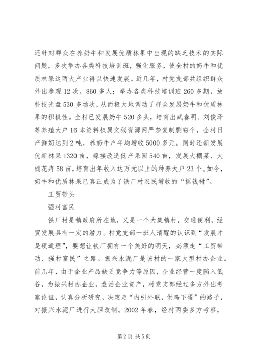 村党支部先进事迹材料(1).docx