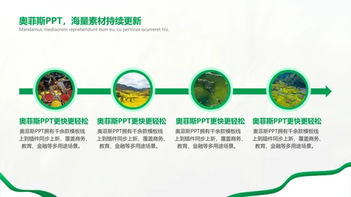 绿色简约风农学专业科研总结