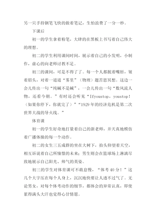 百味茶作文0.docx