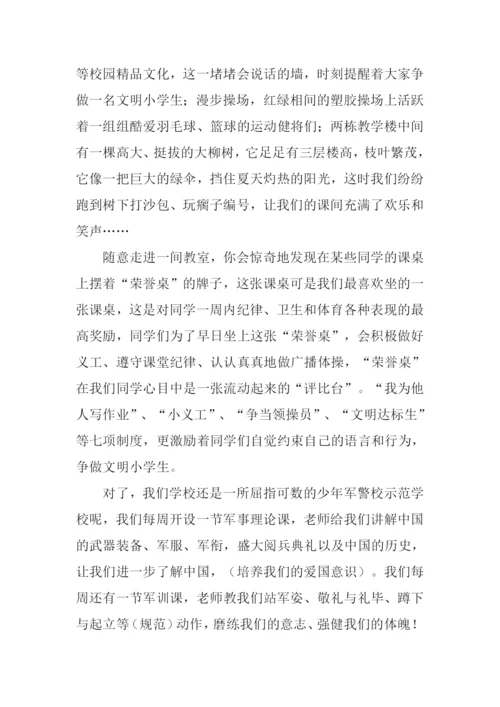 给远方小学生的信作文.docx