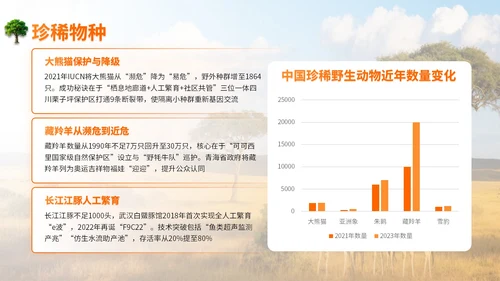 橙色世界动物日志愿者科普PPT模板