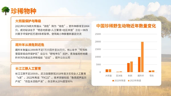 橙色世界动物日志愿者科普PPT模板