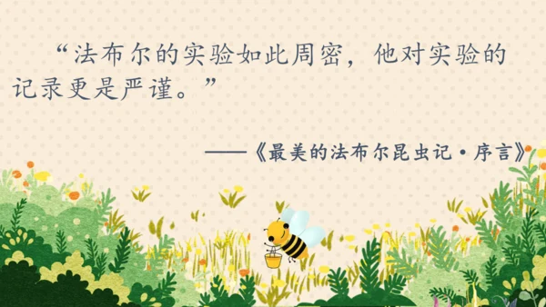 14《蜜蜂》课件