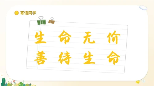 卡通插画学生人物学校教师教学生命教育主题班会课件模板