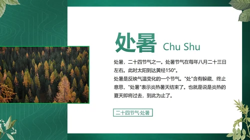 绿色花卉古风传统二十四节气科普主题教育PPT模板