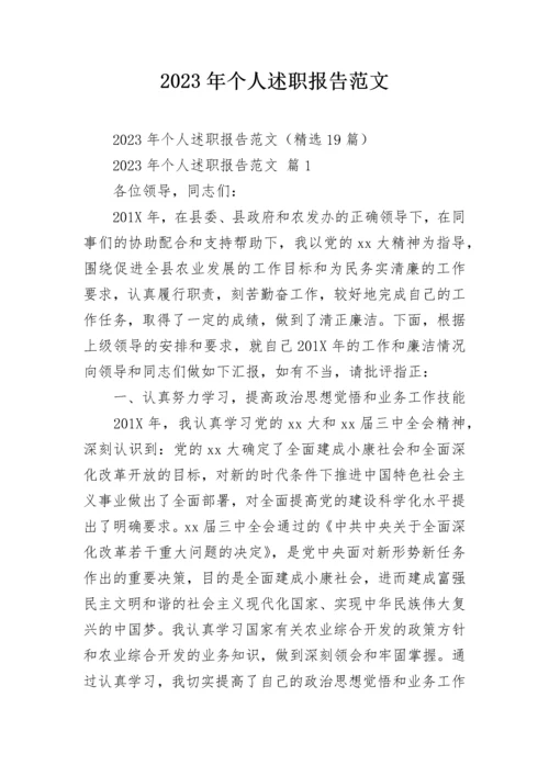 2023年个人述职报告范文.docx