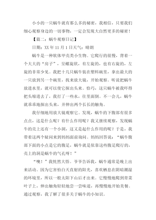 关于观察蜗牛的作文.docx