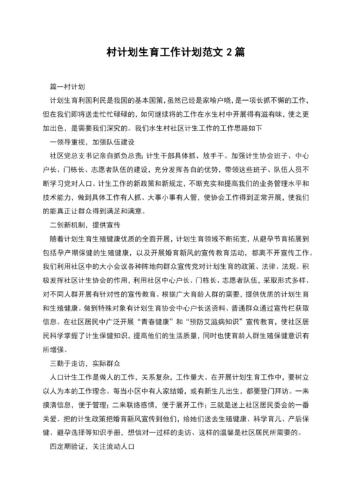 村计划生育工作计划范文2篇.docx