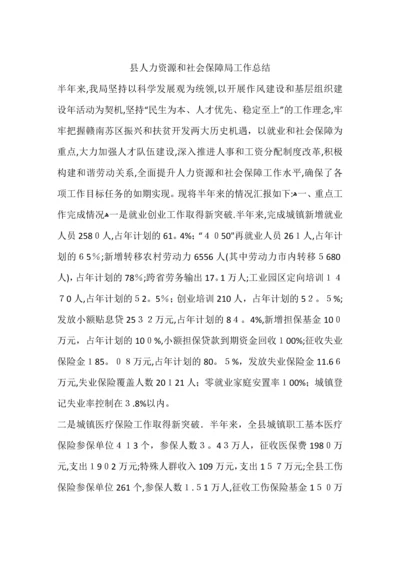 县人力资源和社会保障局工作总结.docx