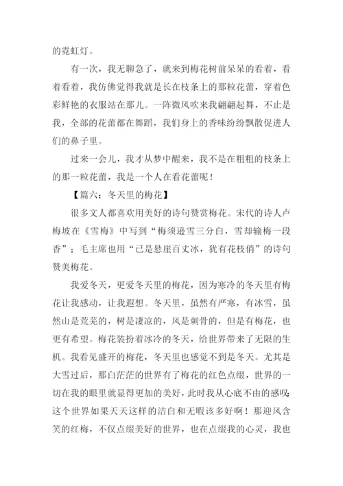 梅花的作文-10.docx