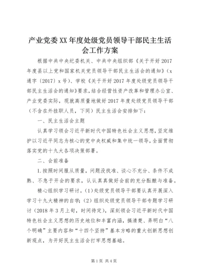 产业党委某年度处级党员领导干部民主生活会工作方案.docx