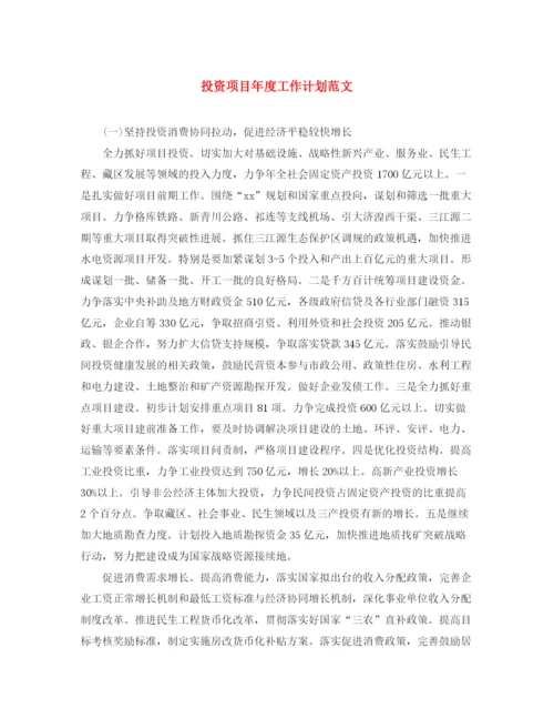 精编之投资项目年度工作计划范文.docx