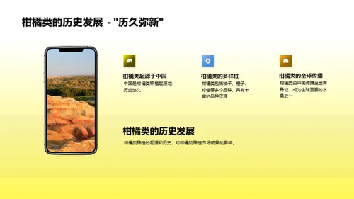 柑橘产业未来展望