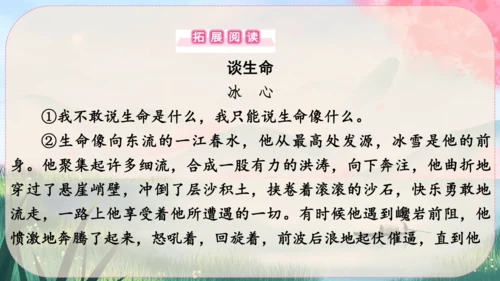 16《散文二篇》课件