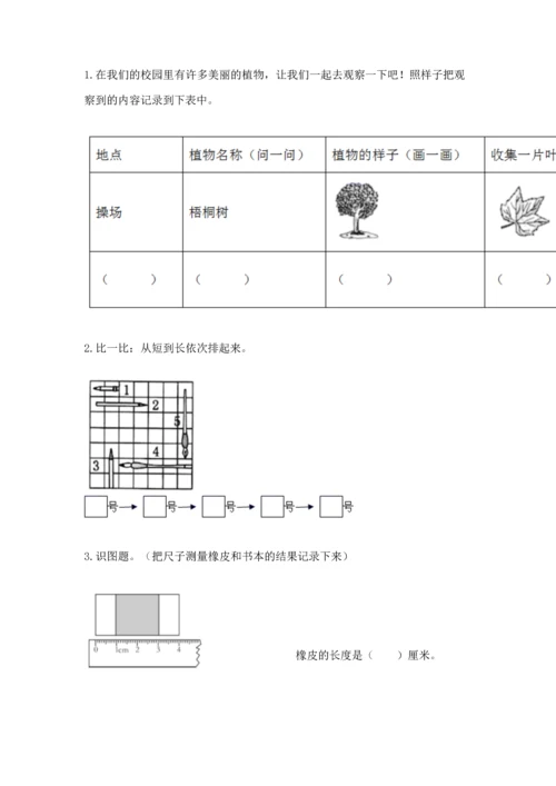 教科版一年级上册科学期末测试卷（有一套）word版.docx