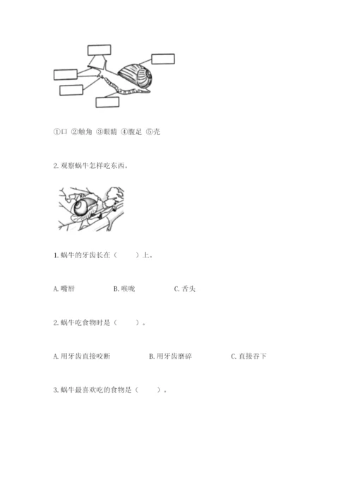 教科版小学科学一年级下册期末测试卷word版.docx