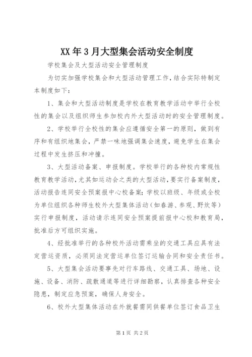 某年3月大型集会活动安全制度.docx