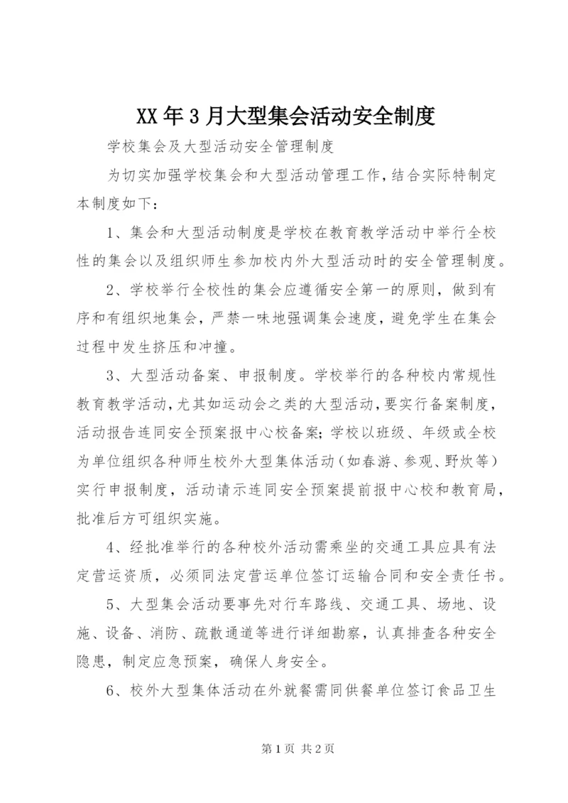 某年3月大型集会活动安全制度.docx