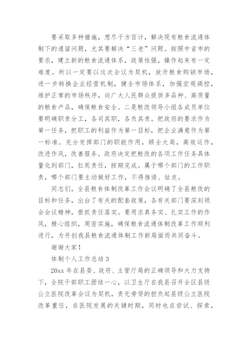 体制个人工作总结.docx