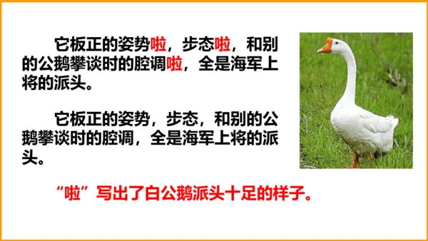 统编版四年级语文下册同步精品课堂系列语文园地四（教学课件）
